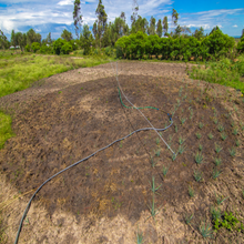 Cargue la imagen en el visor de la galería, <tc>Sprayer</tc>